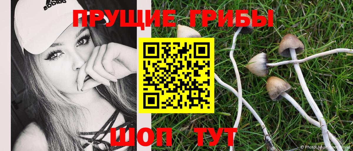 Галлюциногенные грибы Magic Shrooms  Вход с VPN  Гудермес 