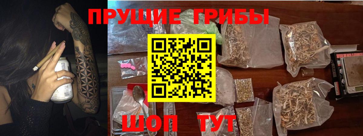 Галлюциногенные грибы ЛСД Гудермес